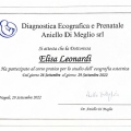Ingrandire l'immagine: certificate 23