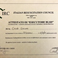 Ingrandire l'immagine: certificate 14