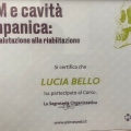 Ingrandire l'immagine: certificate 4
