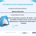 Ingrandire l'immagine: certificate 8