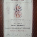 Ingrandire l'immagine: certificate 6