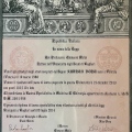 Ingrandire l'immagine: certificate 1