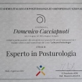 Ingrandire l'immagine: certificate 2