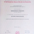 Ingrandire l'immagine: certificate 3