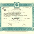 Ingrandire l'immagine: certificate 4