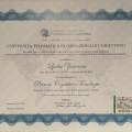 Ingrandire l'immagine: certificate 1