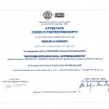 Ingrandire l'immagine: certificate 1