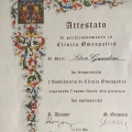 Ingrandire l'immagine: certificate 2