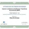 Ingrandire l'immagine: certificate 9