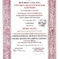 Ingrandire l'immagine: certificate 2