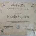 Ingrandire l'immagine: certificate 6