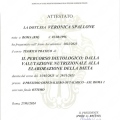 Ingrandire l'immagine: certificate 1