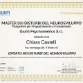 Ingrandire l'immagine: certificate 3