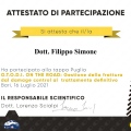 Ingrandire l'immagine: certificate 12