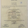Ingrandire l'immagine: certificate 1