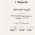 Ingrandire l'immagine: certificate 9