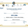 Ingrandire l'immagine: certificate 20