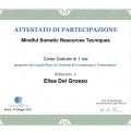 Ingrandire l'immagine: certificate 11