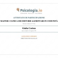 Ingrandire l'immagine: certificate 1