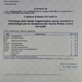 Ingrandire l'immagine: certificate 3