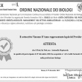 Ingrandire l'immagine: certificate 9
