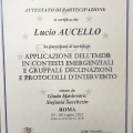 Ingrandire l'immagine: certificate 8