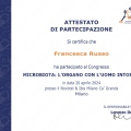 Ingrandire l'immagine: certificate 6