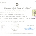 Ingrandire l'immagine: certificate 1