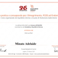Ingrandire l'immagine: certificate 7