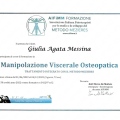 Ingrandire l'immagine: certificate 5