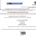 Ingrandire l'immagine: certificate 2