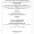 Ingrandire l'immagine: certificate 3