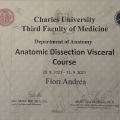 Ingrandire l'immagine: certificate 6