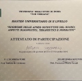 Ingrandire l'immagine: certificate 12