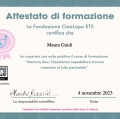 Ingrandire l'immagine: certificate 6