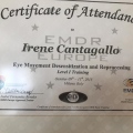 Ingrandire l'immagine: certificate 17