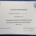 Ingrandire l'immagine: certificate 5