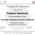 Ingrandire l'immagine: certificate 5