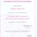 Ingrandire l'immagine: certificate 3