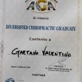 Ingrandire l'immagine: certificate 2