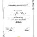 Ingrandire l'immagine: certificate 2