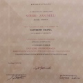 Ingrandire l'immagine: certificate 1