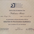 Ingrandire l'immagine: certificate 8