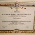 Ingrandire l'immagine: certificate 1