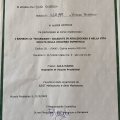 Ingrandire l'immagine: certificate 5