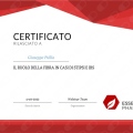 Ingrandire l'immagine: certificate 1
