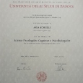 Ingrandire l'immagine: certificate 1