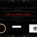 Ingrandire l'immagine: certificate 3