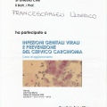 Ingrandire l'immagine: certificate 5