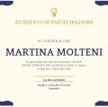 Ingrandire l'immagine: certificate 15
